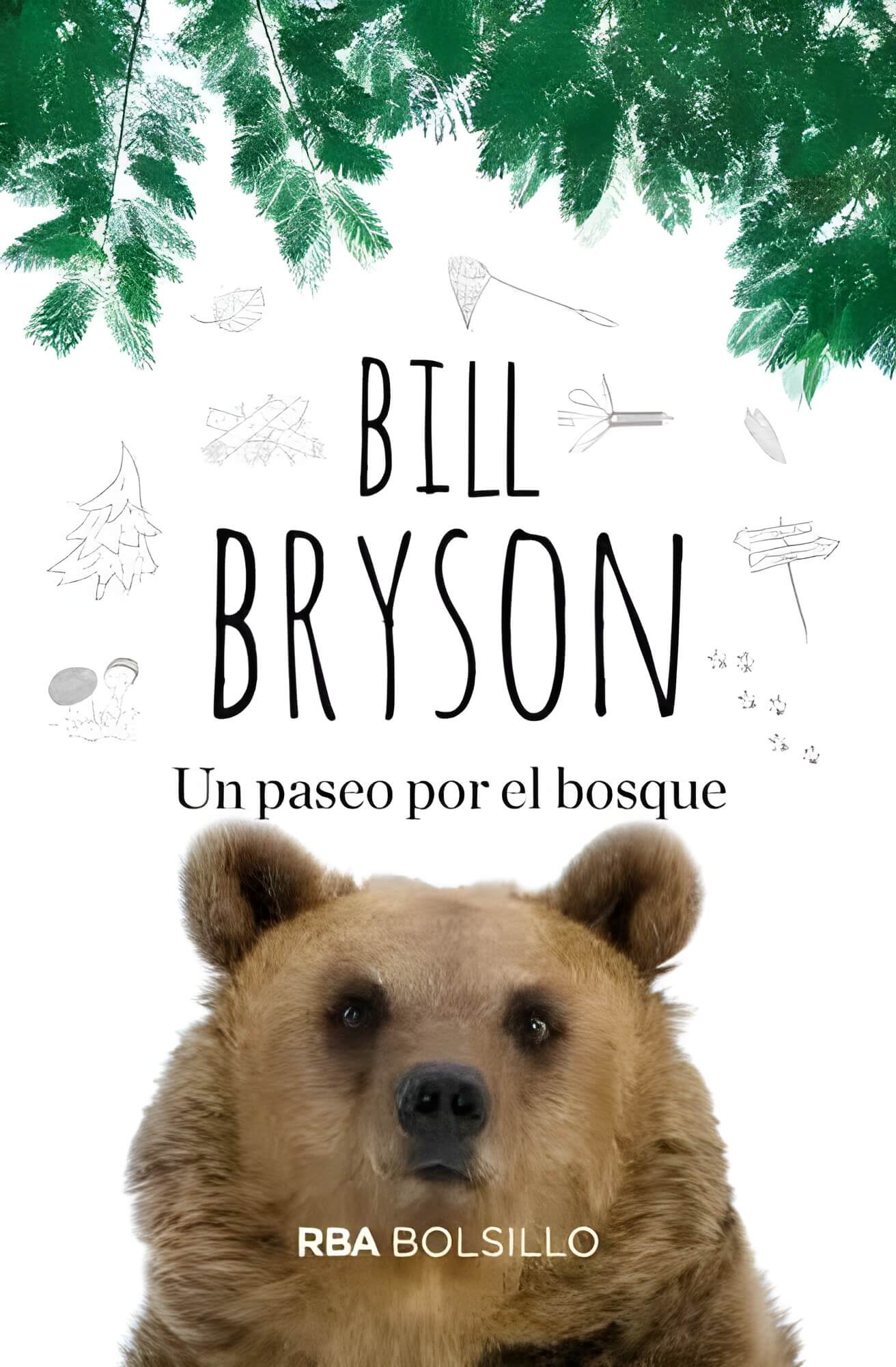 Un paseo por el bosque